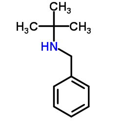 n-(tert-butyl)benzylamine CAS:3378-72-1 manufacturer price 第1张