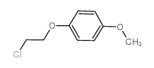 1-(2-Chloroethoxy)-4-methoxybenzene