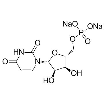 Uridine 5'-monophosphate Disodium Salt UMP-Na2 CAS:3387-36-8 manufacturer price 第1张