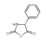 (r)-4-phenyloxazolidine-2,5-dione