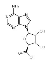 9-riburonosyladenine CAS:3415-09-6 第1张