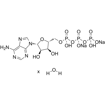 Adenosine 5'-triphosphate Disodium Salt Hydrate Cas:34369-07-8 第1张