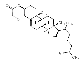 cholesteryl chloroacetate