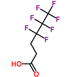 33FTA