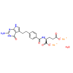 N-[4-[2-(2-Amino-4,7-dihydro-4-oxo-3H-pyrrolo[2,3-d]pyrimidin-5-yl)ethyl]benzoyl]-L-glutamic Acid Disodium Salt Hydrate CAS:357166-29-1 第1张