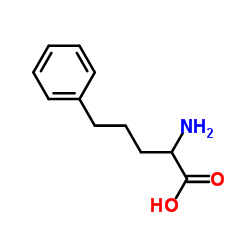 5-Phenylnorvaline