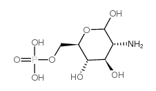 2-amino-2-deoxy-D-glucopyranose 6-phosphate