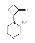 2-morpholin-4-ylcyclobutan-1-one,hydrochloride