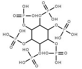 Thermostable Phytase CAS:37288-11-2 manufacturer price 第1张