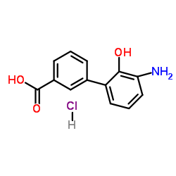 3'-aMino-2'-hydroxy-[1,1'-biphenyl]-3-carboxylic Acid Hydrochloride CAS:376591-97-8 manufacturer price 第1张