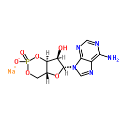 Adenosine 3',5'-cyclic Monophosphate Sodium Salt CAS:37839-81-9 manufacturer price 第1张