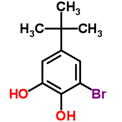 3-bromo-5-tert-butylbenzene-1,2-diol