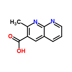 2-Methyl-1,8-naphthyridine-3-carboxylic acid CAS:387350-60-9 第1张