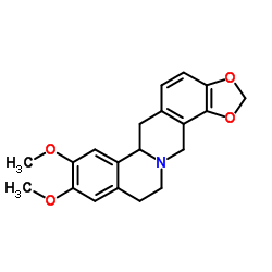 Tetrahydroepiberberine CAS:38853-67-7 第1张