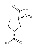 (+/-)-1-aminocyclopentane-cis-1,3-dicarboxylic acid