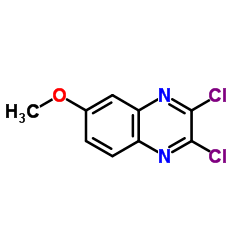2,3-Dichloro-6-methoxyquinoxaline Cas:39267-04-4 第1张
