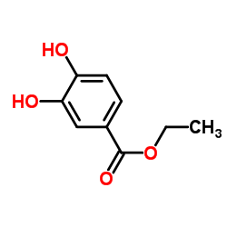 Ethyl 3,4-dihydroxybenzoate Cas:3943-89-3 第1张