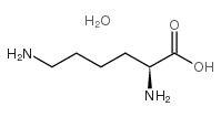 L-lysine monohydrate Cas:39665-12-8 第1张