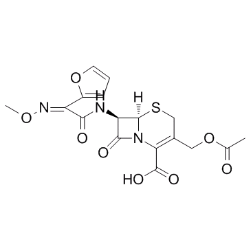 Cefuracetime CAS:39685-31-9 第1张