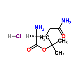 H-Gln-OtBu.HCl