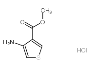 Methyl 4-aminothiophene-3-carboxylate hydrochloride