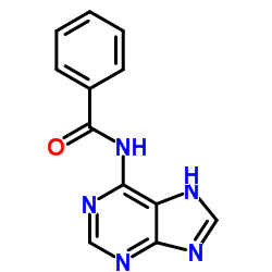 N-(5H-Purin-6-yl)benzamide CAS:4005-49-6 manufacturer price 第1张