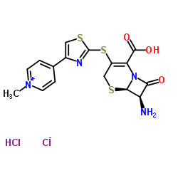 7 Β –amino-3- [4-pyridyl-2-thiazole Sulfur Radical ]-3-cephem CAS:400827-64-7 manufacturer price 第1张