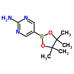 2-Aminopyrimidine-5-boronic Acid Pinacol Ester CAS:402960-38-7 manufacturer price 第1张