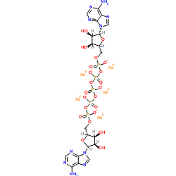 Diadenosine pentaphosphate pentasodium CAS:4097-04-5 第1张