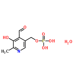 Pyridoxal 5-phosphate Monohydrate(PLP) Cas:41468-25-1 第1张