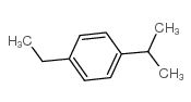 1-ethyl-4-propan-2-ylbenzene