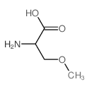 O-methylserine