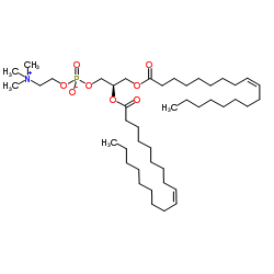 Dierucoyl phosphatidylcholine CAS:4235-95-4 manufacturer price 第1张