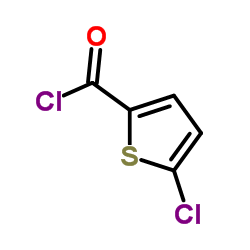 5-CHLOROTHIOPHENE-2-CARBONYL CHLORIDE CAS:42518-98-9 manufacturer price 第1张