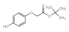 tert-Butyl 2-(4-hydroxyphenoxy)acetate