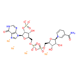 Nicotinamide hypoxanthine dinucleotide phosphate reduced tetrasodium salt NADPH Cas:42934-87-2 第1张