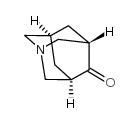 1-Azatricyclo[3.3.1.1(3,7)]decan-4-one