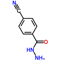 4-Cyanobenzohydrazide