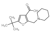 5-tert-butyl-2-(piperidin-1-ylmethyl)furan-3-carboxylic acid