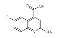 6-chloro-2-methylquinoline-4-carboxylic acid