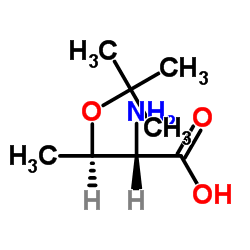 H-Thr(tBu)-OH