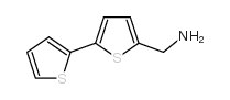 (5-thiophen-2-ylthiophen-2-yl)methanamine CAS:4380-96-5 第1张