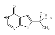 6-Tert-Butyl-3H-Thieno[2,3-D]Pyrimidin-4-One