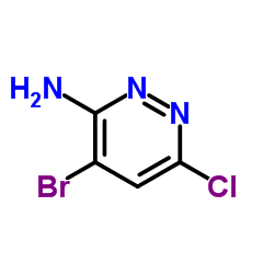 3-Amino-4-bromo-6-chloropyridazine CAS:446273-59-2 第1张