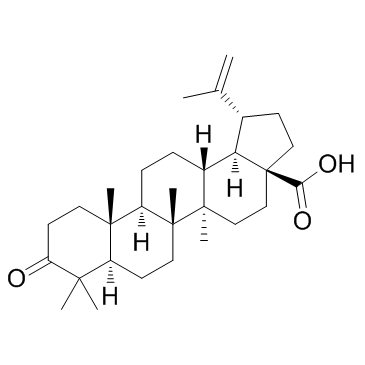 Betulonic acid