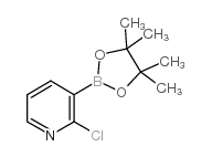 2-Chloropyridine-3-boronic acid pinacol ester