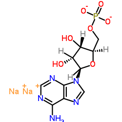 Adenosine 5'-monophosphate Disodium Salt (AMP-Na2) Cas:4578-31-8 第1张