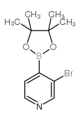 3-Bromopyridine-4-boronic acid pinacol ester CAS:458532-92-8 第1张