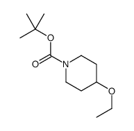 tert-Butyl 4-ethoxypiperidine-1-carboxylate