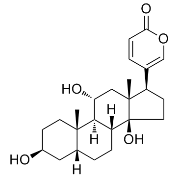 Gamabufotalin CAS:465-11-2 第1张